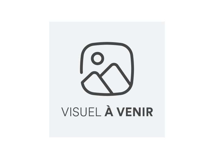 Echelle Deluxe DJ Ducato H3 - Anodisé